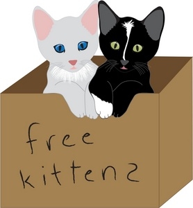 Cats and Boxes Clip Art