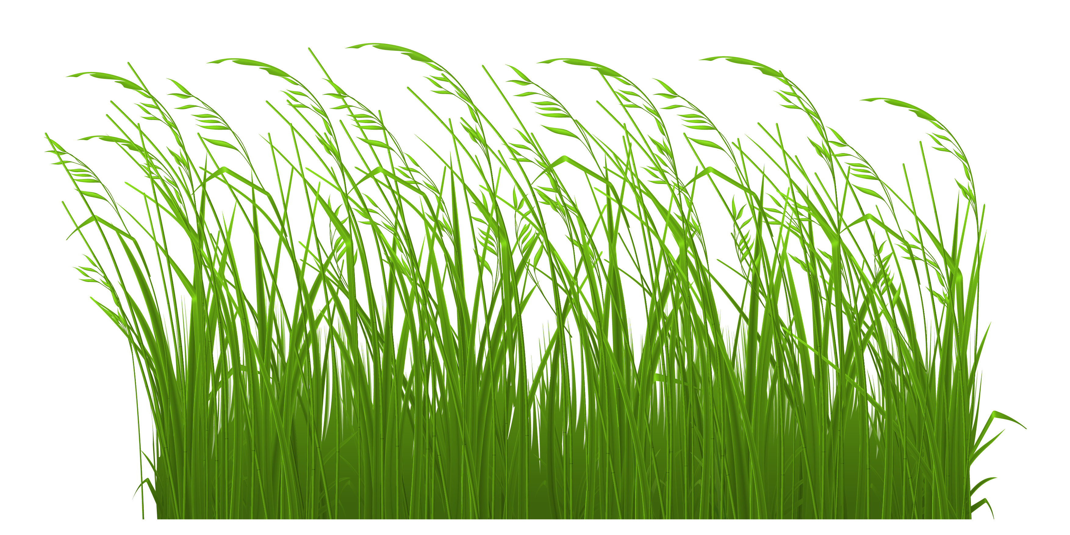 Grass clip art vector grass graphics clipartcow