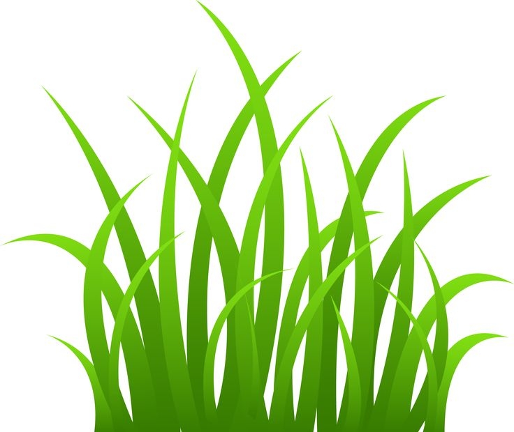 Green Grass Border Clipart