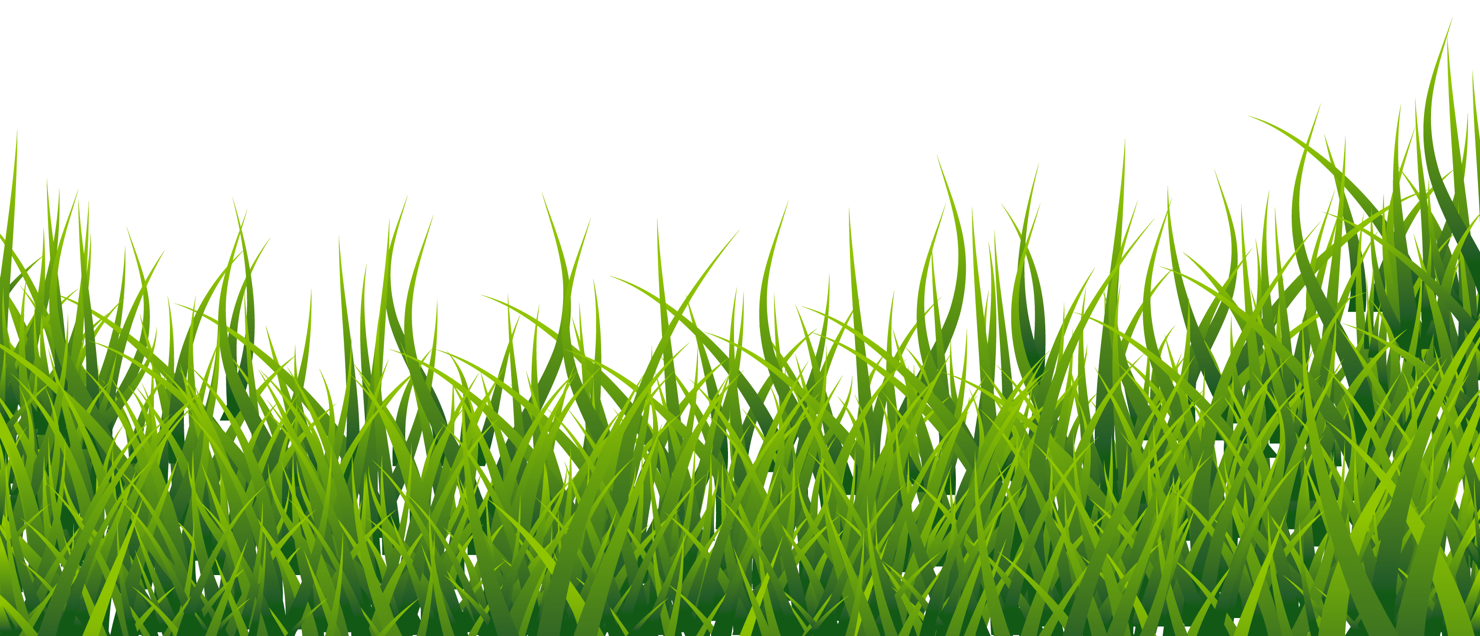 Grass outline border free clipart images