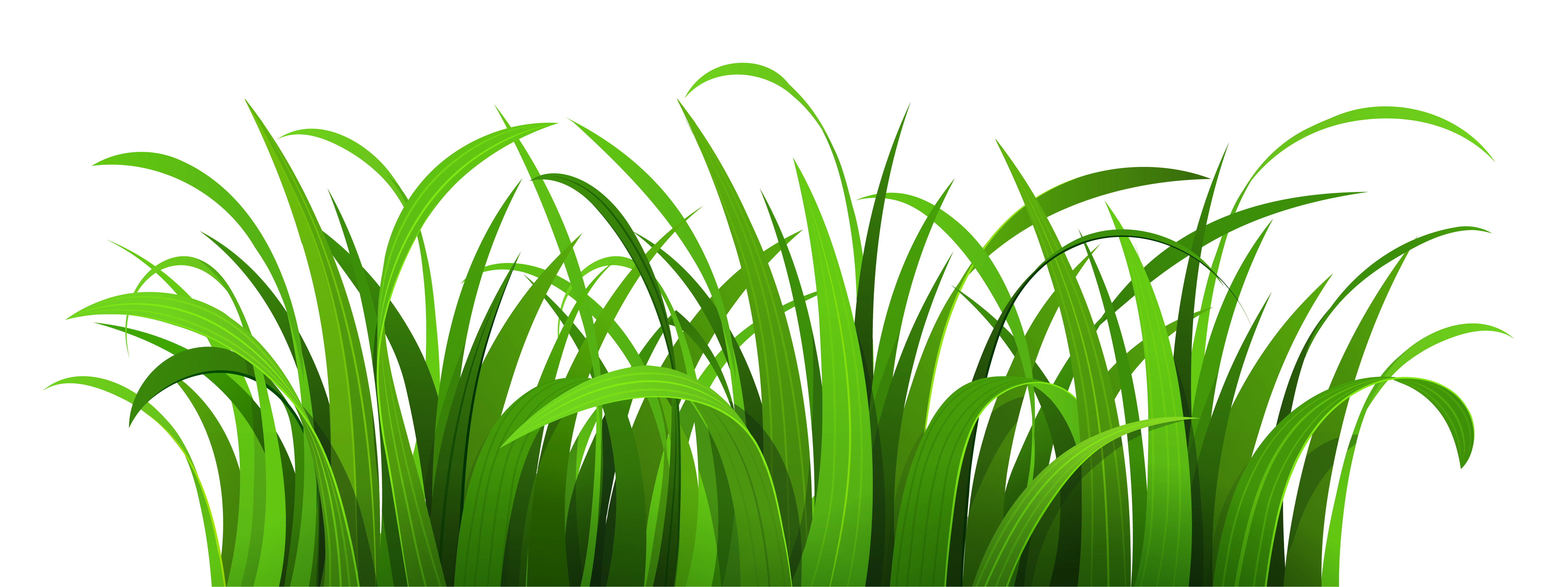 Green Grass Border Clipart