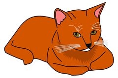 Cute Domestic Cat Vector Illus Stock Image