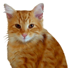 Cat Clip Art, Cat Sketches, Cat Drawings & Graphics