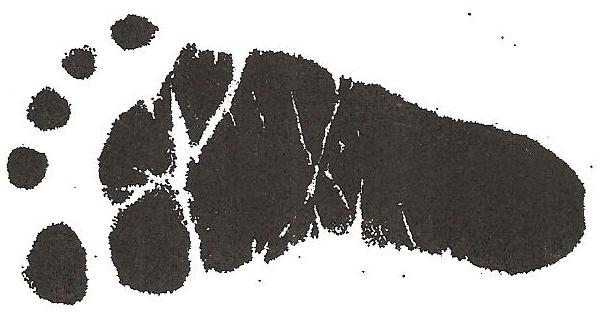 Baby feet clip art 6